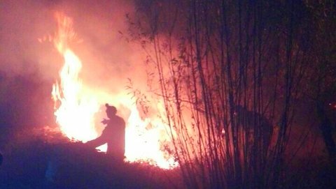 مهار آتش سوزی حدود ۷ هکتار زیستگاه‌های بویین و میاندشت