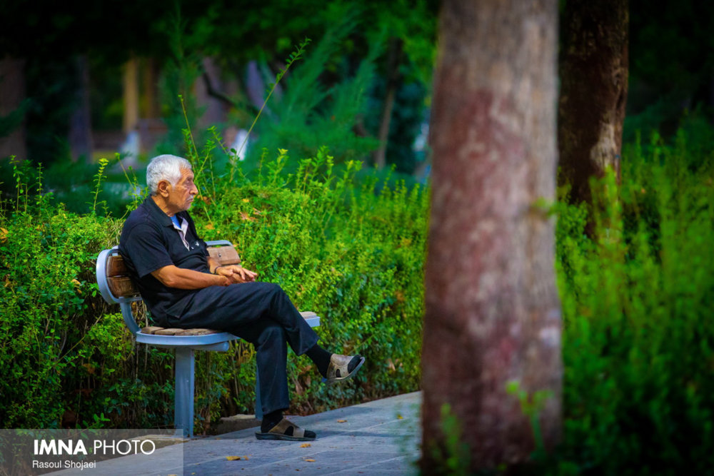  "سالمندان تنها"؛ بحران پیش روی جامعه 