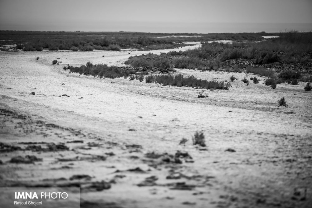 Desertification Increases in Iran Due to Human Activities, Climate Change