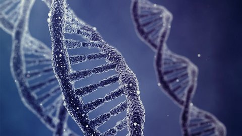 علت بروز بیماری های ژنتیکی چیست؟