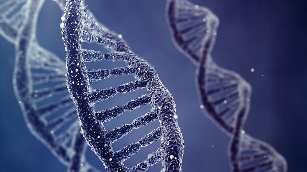 آیا ژن‌ها در طول عمر انسان تاثیر گذار هستند؟