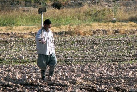 کشاورزان اصفهانی می‌خواهند که صدایشان شنیده شود