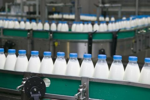تولید سالانه ۱۱میلیون لیتر شیر در کشور
