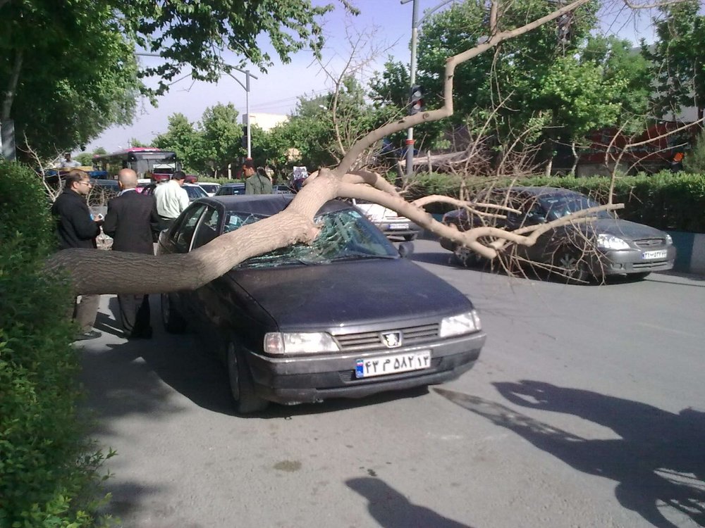 ۷ حادثه آبگرفتگی و سقوط درخت درپی بارندگی‌های روز گذشته