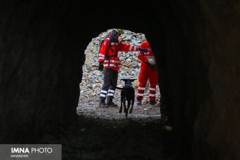 مانور مشترک تیم های جستجو و نجات با سگ هلال احمر ایران و آلمان