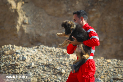 نجات یک قلاده سگ از چاه توسط تیم امداد و نجات