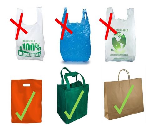 ممنوعیت تولید ظروف پلاستیکی یکبار مصرف در آلمان