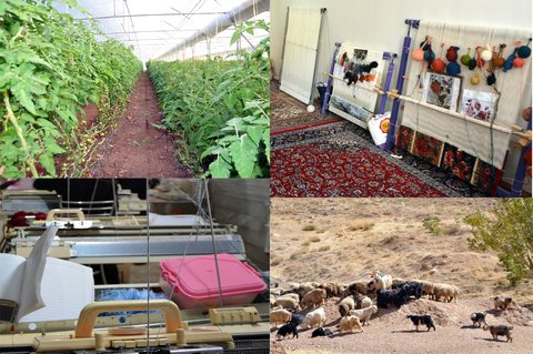 همکاری تعاونی‌های روستایی ایران و اروپا خلاءهای کشاورزی را پر می‌کند