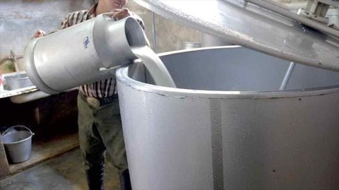 ایستگاه‌های جمع‌آوری شیر دهاقان آلوده نیست