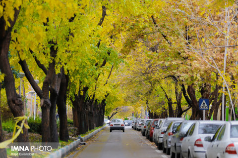 پاییز بارانی اصفهان