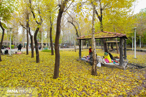 پاییز بارانی اصفهان