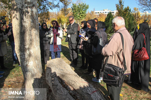 بازدید رسانه ای سازمان پارک ها و فضای سبز با موضوع "درختان شهری"