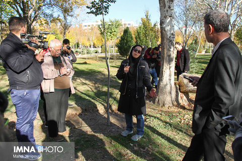 بازدید رسانه ای سازمان پارک ها و فضای سبز با موضوع "درختان شهری"