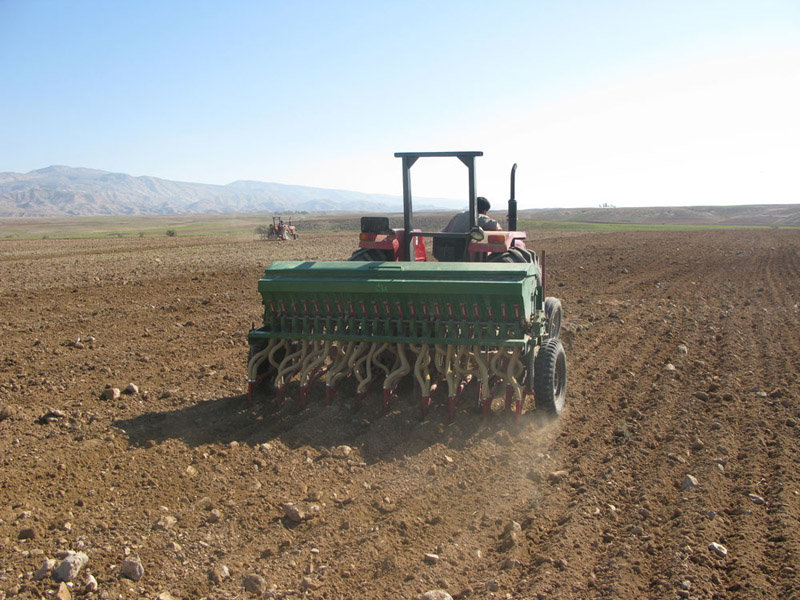۱۳۰هزار هکتار از اراضی کشاورزی اصفهان از دست رفته‌است