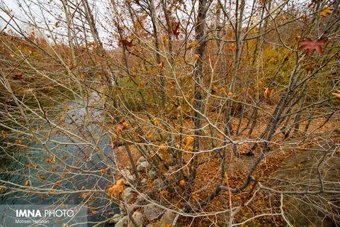 پاییز در حاشیه زاینده رود