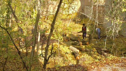 ساخت نخستین اثر ارکسترال محلی در مازندران/قطع درختان ارسباران