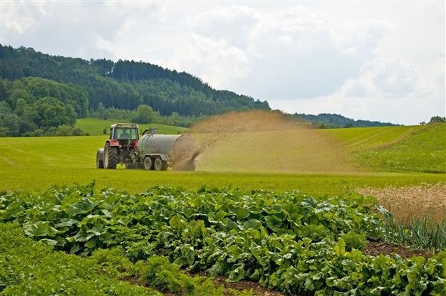 مصرف سالانه ۳۰ تا ۳۵ هزار تن سم کشاورزی در کشور