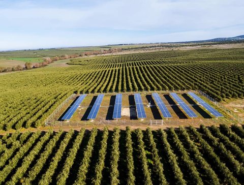 کاهش مصرف آب کشاورزی با تکیه بر سیستم‌های آبیاری خورشیدی