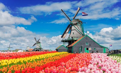 مردم هلند از دولت خود شکایت کردند
