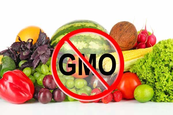 Iran imposing stricter rules on GM foods