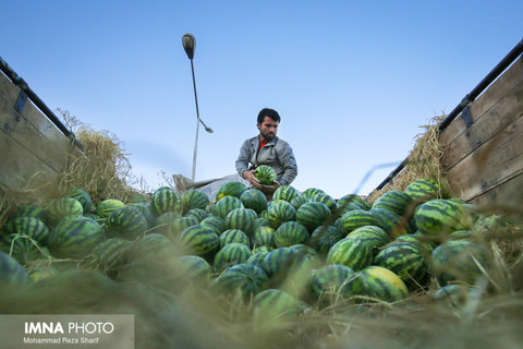 جزئیات پیشنهاد منع تردد و تعطیلی مشاغل در شب یلدا