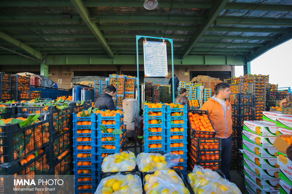 توزیع میوه نوروزی در ۳۵ نقطه شهر/ بازار گل و گیاه بازگشایی می‌شود