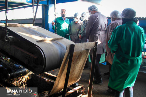 اجرای ۱۲ پروژه شاخص سازمان پسماند برای تحقق توسعه پایدار