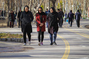 برگزاری همایش پیاده‌روی همراه با کاشت نهال در سمنان