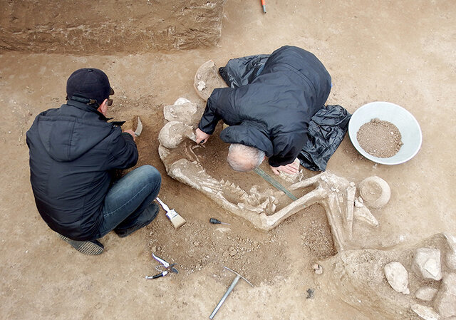 Ancient warrior's grave discovered in northern Iran