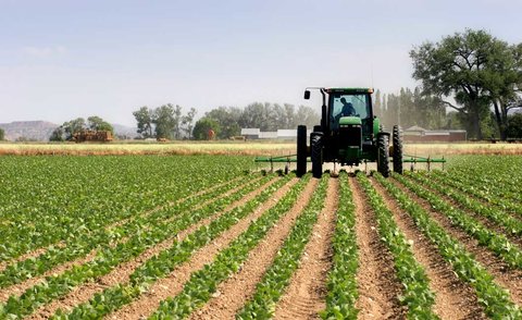 صنعت کشاورزی در کشور فشل است