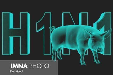 آخرین اخبار از آنفلوآنزای خوکی جدید