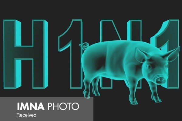 آخرین اخبار از آنفلوآنزای خوکی جدید
