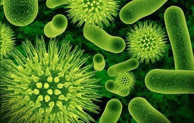 دلایل بروز مقاومت میکروبی چیست؟