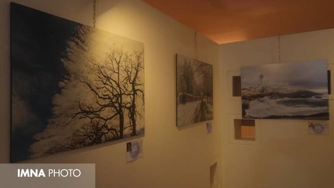 Freelance Photographers Exhibition