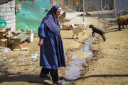 زنان روستایی در دسترسی به منابع روستایی مشارکت کنند