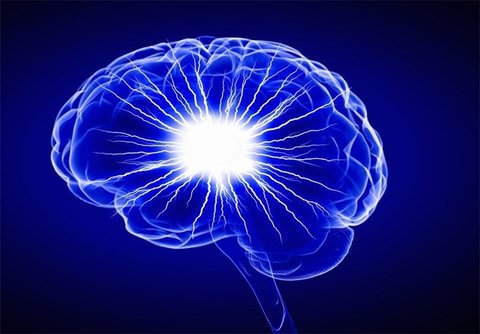 مغز چه مدت پس از جدا شدن سر از بدن زنده می‌ماند؟