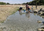 ماهیان گرفتار در ماندآب‌های زاینده‌رود جمع‌آوری می‌شود