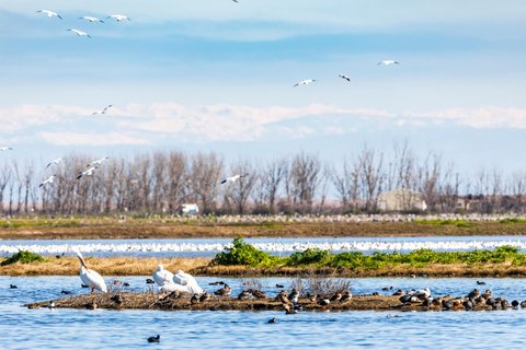 World Wildlife Day 2019