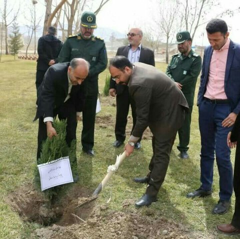 غرس نهال‌های مزین با نام شهدا تشبیه استقامت است