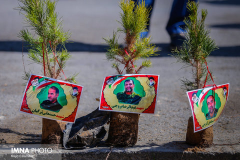 درخت کاری سازمان اتوبوس رانی در توقفگاه شهید مهرابی