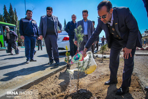 درخت کاری سازمان اتوبوس رانی در توقفگاه شهید مهرابی