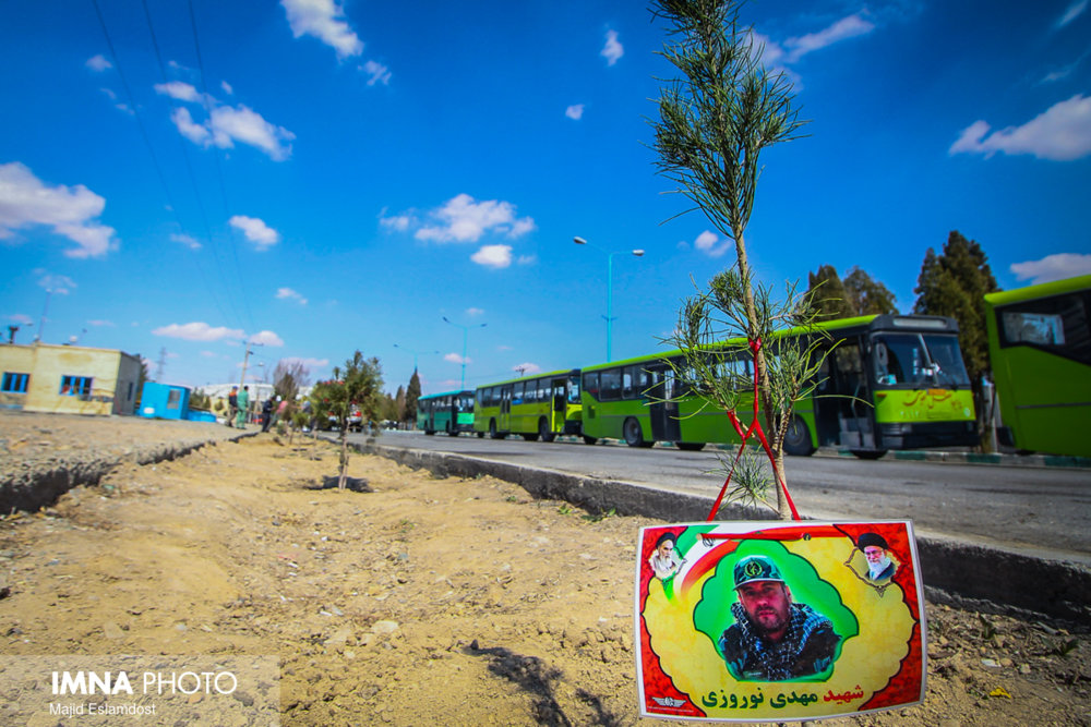 درخت کاری در توقفگاه شهید مهرابی