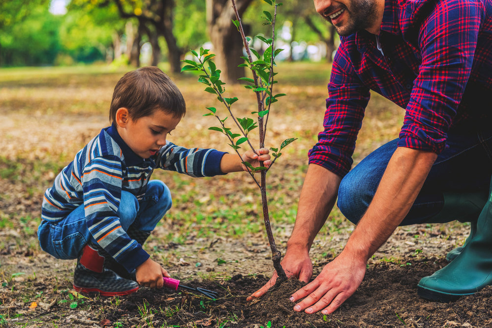 سنت پسندیده درختکاری را به فرزندان خود آموزش دهیم