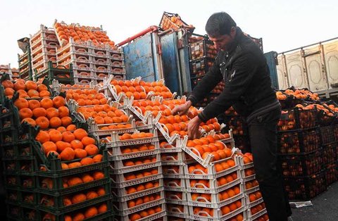 توزیع بیش از ۲ هزار تن میوه شب عید در قزوین