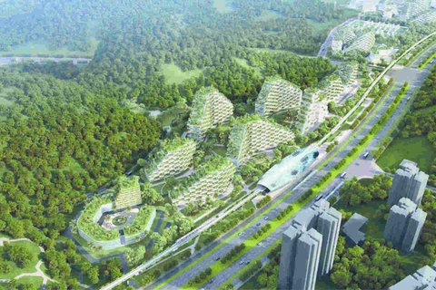 نخستین شهر جنگلی جهان طراحی شهری را به چالش می‌کشد
