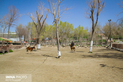 مجموعه تفریحی باغ جوان