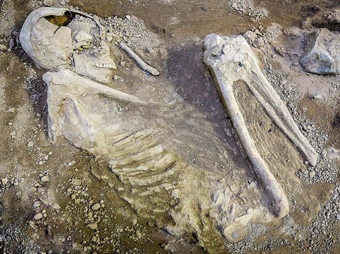 Ancient skeleton dating back to Sassanid era discovered in Isfahan