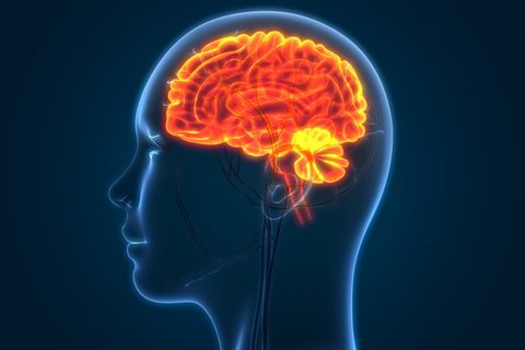 پیشگیری از سکته مغزی با چند روش ساده