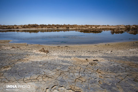 Gavkhouni wetland