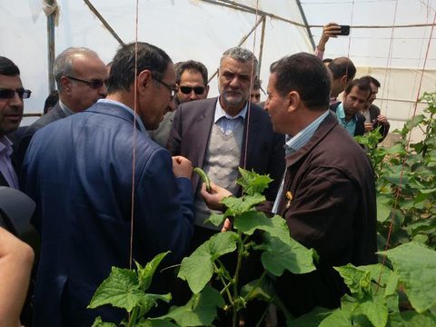 بازدید وزیر جهاد کشاورزی از مجتمع کشت و صنعت شریف خالدآباد 